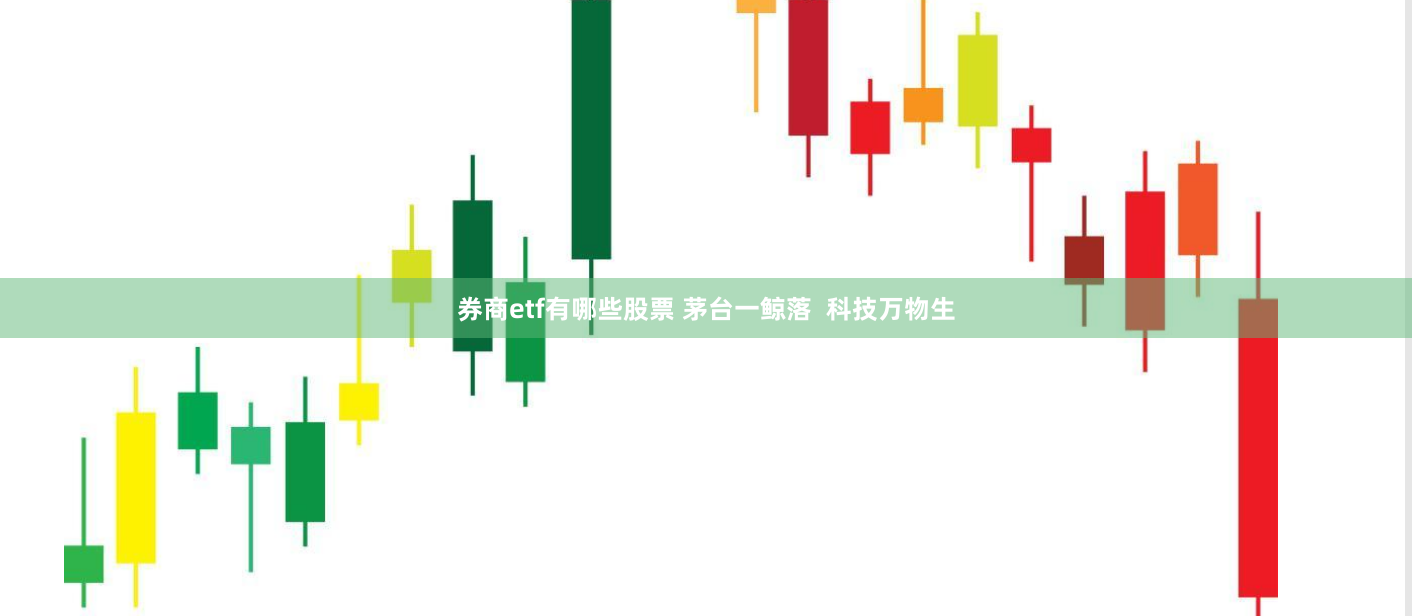 券商etf有哪些股票 茅台一鲸落  科技万物生