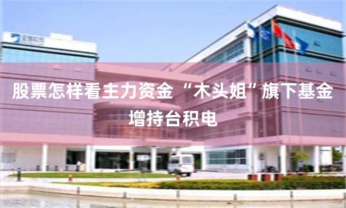股票怎样看主力资金 “木头姐”旗下基金增持台积电