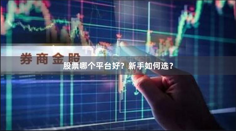 股票哪个平台好？新手如何选？