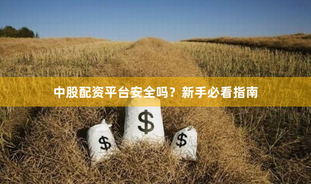 中股配资平台安全吗？新手必看指南
